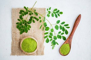 برگ خشک مورینگا اولیفرا طب جو برگ گیاه دارویی مورینگا اولیفرا طب جو 